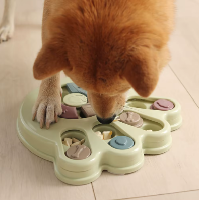 chien et sa gamelle interactive en action