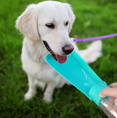 retriever buvant avec gourde pour chien